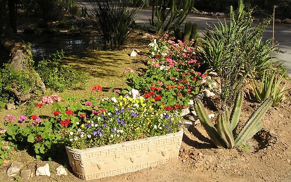 nursery_045.jpg