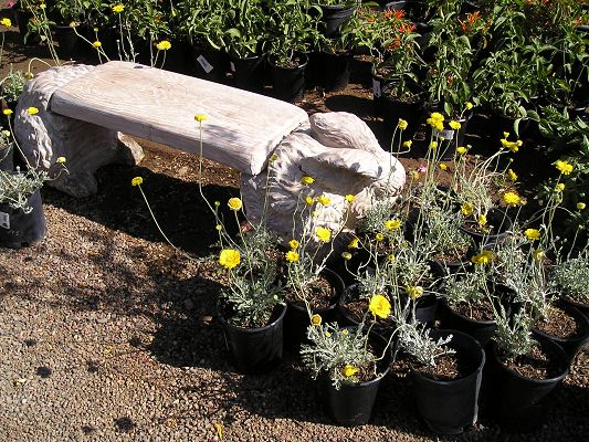 nursery_047_1.jpg