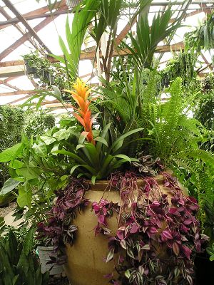nursery_053_1.jpg