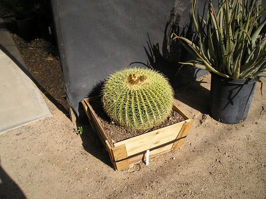 nursery_055.jpg