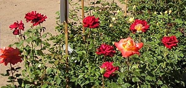 nursery_060.jpg