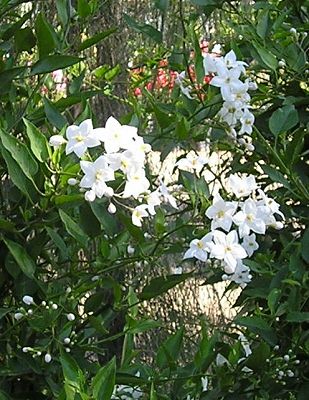 nursery_064.jpg
