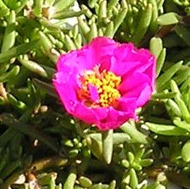 nursery_083.jpg