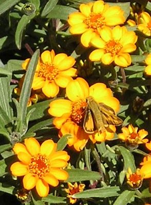 nursery_102.jpg