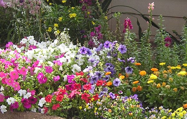 nursery_111.jpg