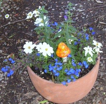 nursery_118.jpg