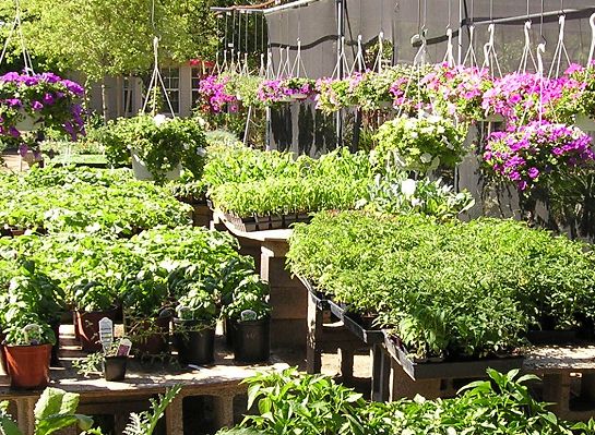 nursery_121.jpg