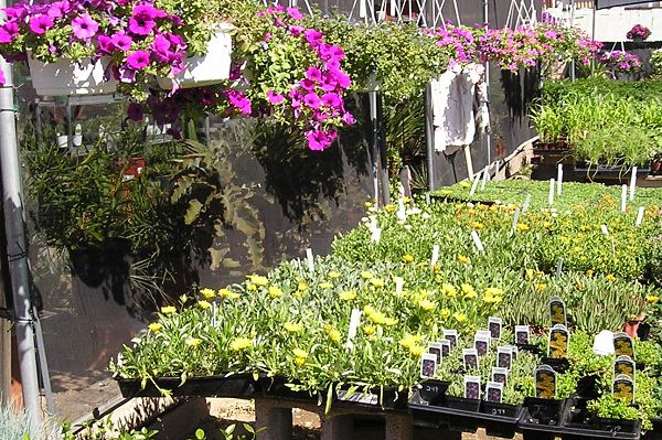 nursery_124.jpg