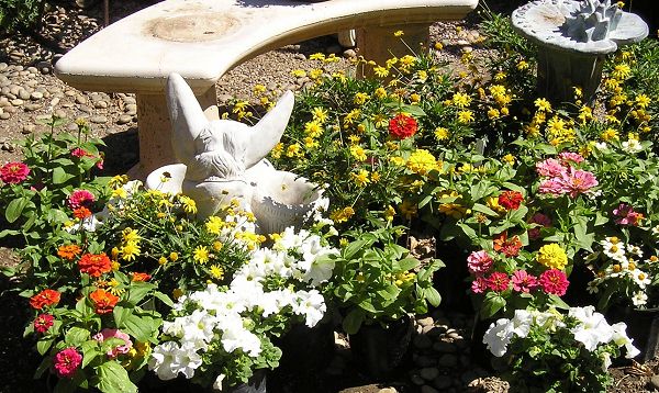 nursery_127.jpg