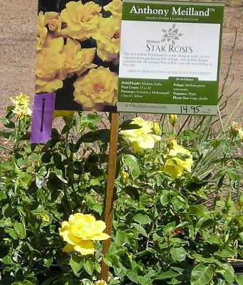 nursery_april_23_045.jpg