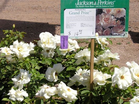 nursery_april_23_046.jpg