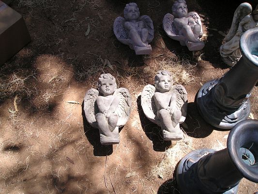 p1010010_3.jpg