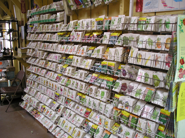 nursery - april 08 034