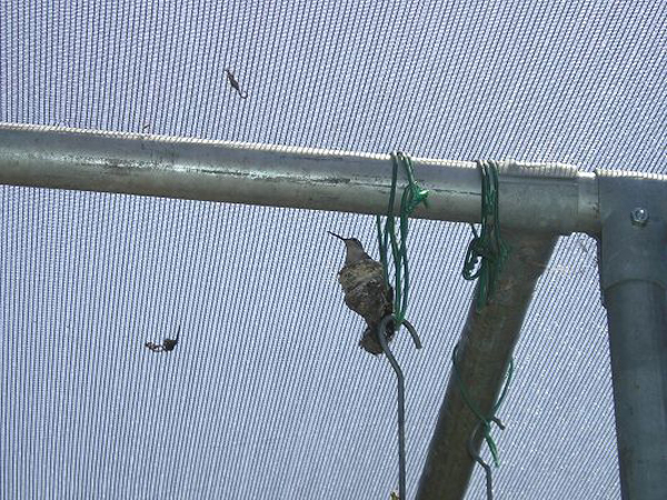 mike_s_camera_may_10_2008_047