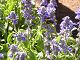 P1010010.JPG 
