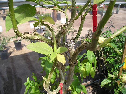 nursery_005.jpg