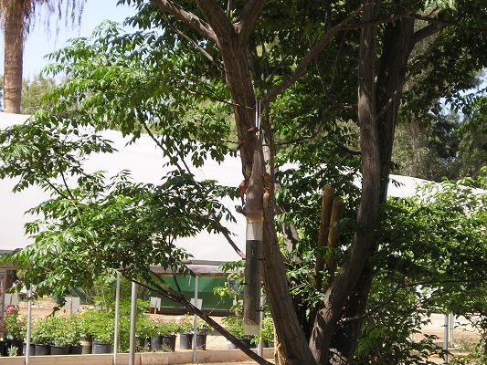 nursery_060.jpg