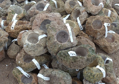 pumice pots