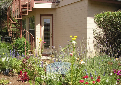 garden